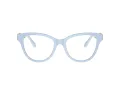 Swarovski SK 2004 1006 52 Women glasses