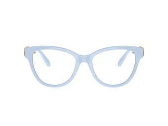 Swarovski SK 2004 1006 52 Women glasses