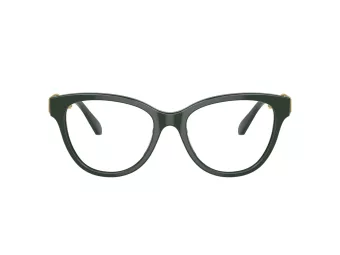 Swarovski SK 2004 1026 52 Women glasses