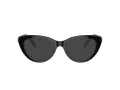 Swarovski SK 2005 1001 53 Women glasses