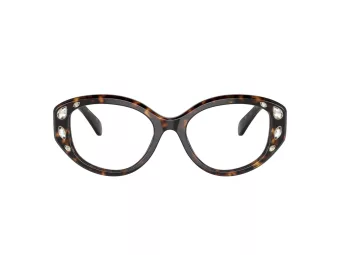 Swarovski SK 2006 1002 52 Women glasses