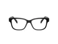 Swarovski SK 2007 1001 54 Women glasses