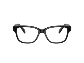 Swarovski SK 2007 1001 54 Women glasses