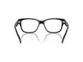 Swarovski SK 2007 1001 54 Women glasses