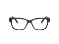 Swarovski SK 2007 1002 52 Women glasses
