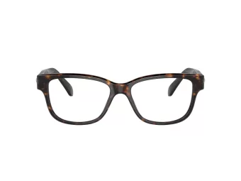 Swarovski SK 2007 1002 54 Women glasses