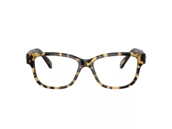 Swarovski SK 2007 1009 54 Women glasses