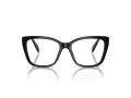 Swarovski SK 2008 1001 53 Women glasses