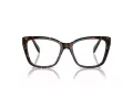 Swarovski SK 2008 1002 53 Women glasses