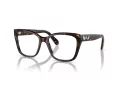 Swarovski SK 2008 1002 53 Women glasses
