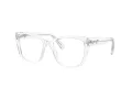 Swarovski SK 2008 1027 51 Women glasses