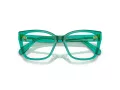 Swarovski SK 2008 1029 51 Women glasses