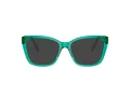 Swarovski SK 2008 1029 51 Women glasses