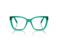 Swarovski SK 2008 1029 53 Women glasses