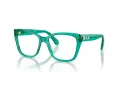 Swarovski SK 2008 1029 53 Women glasses