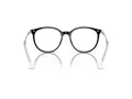 Swarovski SK 2009 1001 52 Women glasses