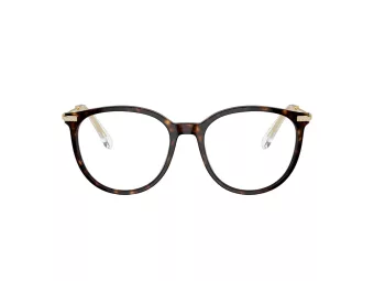 Swarovski SK 2009 1002 50 Women glasses