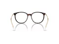 Swarovski SK 2009 1002 50 Women glasses