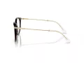 Swarovski SK 2009 1002 52 Women glasses