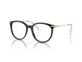 Swarovski SK 2009 1002 52 Women glasses