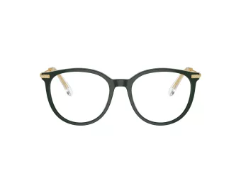 Swarovski SK 2009 1026 52 Women glasses