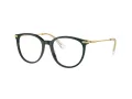 Swarovski SK 2009 1026 52 Women glasses