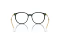 Swarovski SK 2009 1026 52 Women glasses