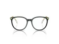Swarovski SK 2009 1026 52 Women glasses