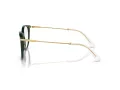 Swarovski SK 2009 1026 52 Women glasses