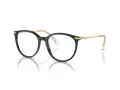 Swarovski SK 2009 1026 52 Women glasses