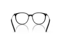 Swarovski SK 2009 1039 52 Women glasses