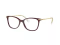 Swarovski SK 2010 1008 52 Women glasses