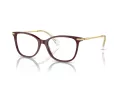 Swarovski SK 2010 1008 52 Women glasses