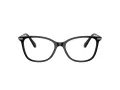 Swarovski SK 2010 1039 52 Women glasses
