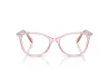 Swarovski SK 2010 3001 52 Women glasses