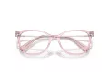 Swarovski SK 2010 3001 54 Women glasses