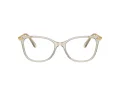 Swarovski SK 2010 3003 54 Women glasses