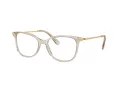 Swarovski SK 2010 3003 54 Women glasses