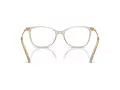 Swarovski SK 2010 3003 54 Women glasses