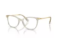 Swarovski SK 2010 3003 54 Women glasses