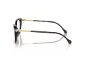 Swarovski SK 2011 1002 55 Women glasses