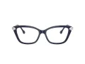 Swarovski SK 2011 1004 55 Women glasses