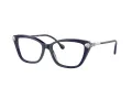 Swarovski SK 2011 1004 55 Women glasses