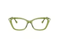 Swarovski SK 2011 3002 53 Women glasses