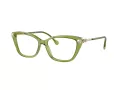 Swarovski SK 2011 3002 53 Women glasses