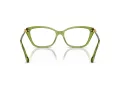 Swarovski SK 2011 3002 53 Women glasses