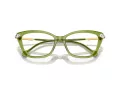 Swarovski SK 2011 3002 53 Women glasses