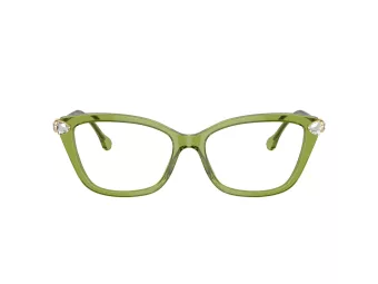 Swarovski SK 2011 3002 55 Women glasses