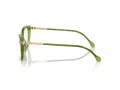 Swarovski SK 2011 3002 55 Women glasses