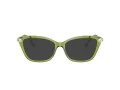 Swarovski SK 2011 3002 55 Women glasses